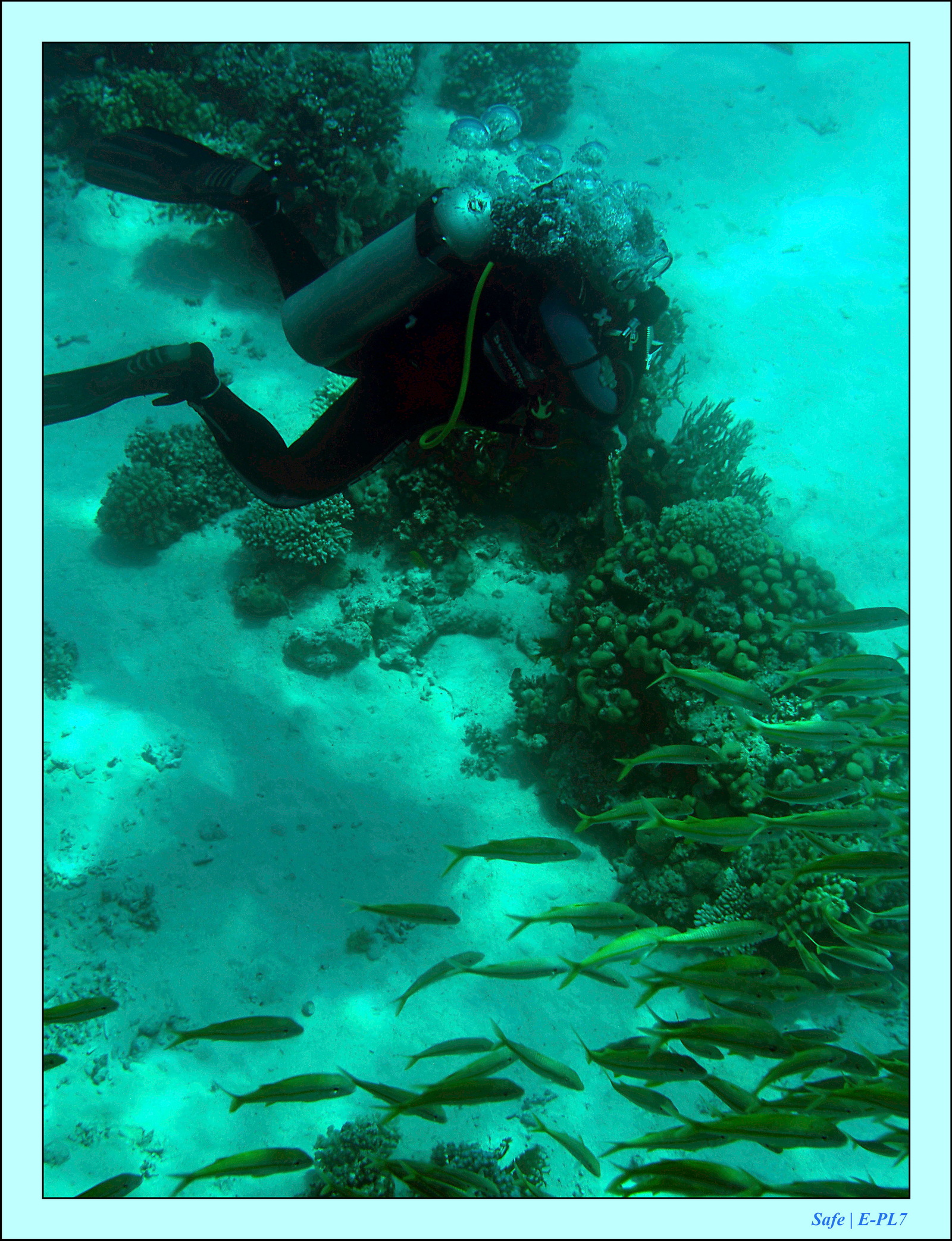 Hurghada - Aout 2021 - 042